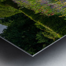 Flowering shrubs in a hedged flower garden on the Isle of Wight Metal print