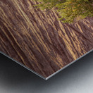 Detail of bush around Rainbow Vista trail in Valley of Fire stat Metal print