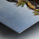 Posthotel by River Wenatchee in Alpine German town of Leavenwort Metal print