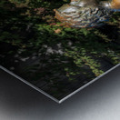 Boy with dog statue in Langley on Whidbey Island Impression metal