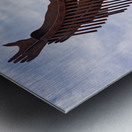 The Salmon Chief metal sculpture in Entiat City Park Washington  Metal print