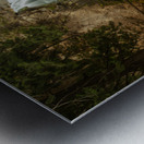 Falls Creek Falls near Winthrop in Cascade Mountains in Washingt Metal print