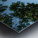 Historic Georgetown Courthouse in the town square in Texas Metal print