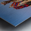 Single camel standing in front of Great Pyramid of Giza waiting  Metal print