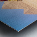 Single camel standing in front of Great Pyramid of Giza waiting  Metal print