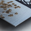 Spring blossoms by Steel girder bridge Morgantown Metal print