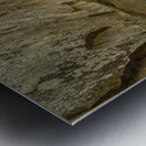 Boardwalk in Audra State Park near Buckhannon in West Virginia Metal print