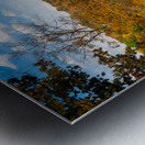 Fall colors on Cheat Lake Morgantown Metal print