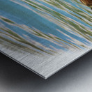 Digital pastel of Sea Otter floating in the sea Metal print