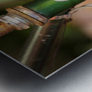 Memories of youth with Schwinn bike frame Metal print