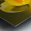 Two mangoes and one cut mango reflecting Impression metal