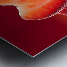 Fresh sliced strawberry in heart shape reflected Metal print