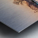 Dawn behind the dome of the Capitol in DC Impression metal