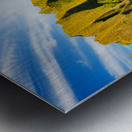 Vertical Na Pali coastline taken from Kauai cruise Impression metal