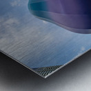 Jellyfish sculptures on promenade at Dubai Marina UAE Metal print