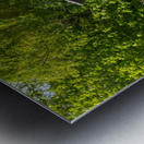  Portrait of Wilfred Owen statue in Oswestry park in Shropshire Metal print