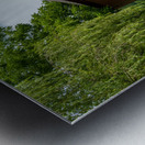 Dents Run Covered bridge near Morgantown WV Metal print