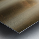 Douglas Falls near Blackwater Canyon trail near Thomas WV Metal print