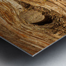 Background close up of cedar trunk bark Metal print