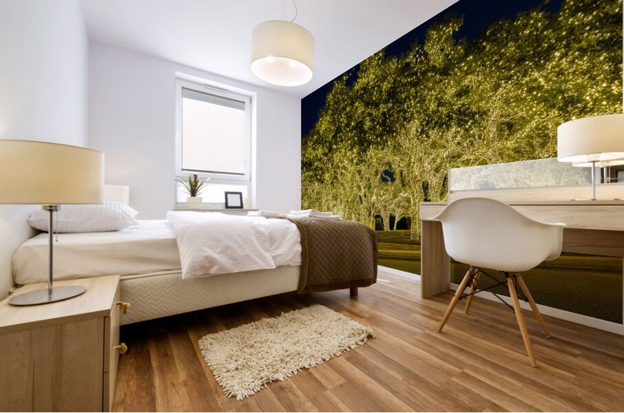 Holiday lights spectacular in Johnson City Texas Mural print