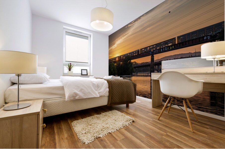 Freight train on the railroad bridge in Austin at sunset Mural print