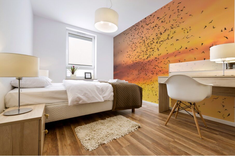 Bat watchers crowd on Congress Avenue bridge with bats Mural print