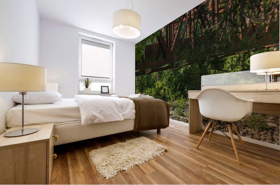 Tumwater Canyon pipeline bridge over Wenatchee River in Washingt Mural print