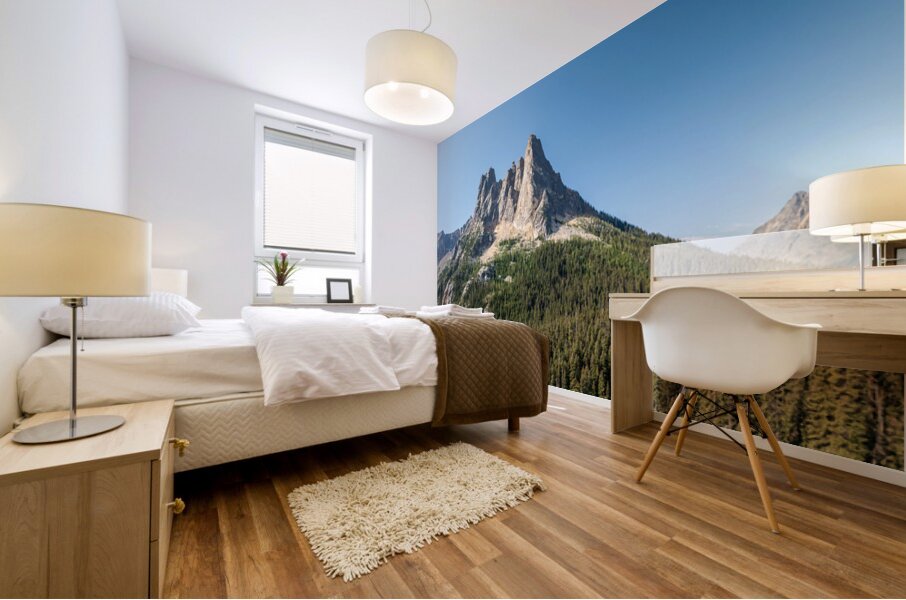 View of the North Cascades Highway looking towards the Washingto Mural print