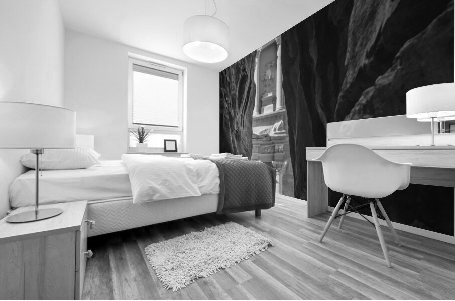 Monochrome Petra Treasury building facade seen through narrow go Mural print