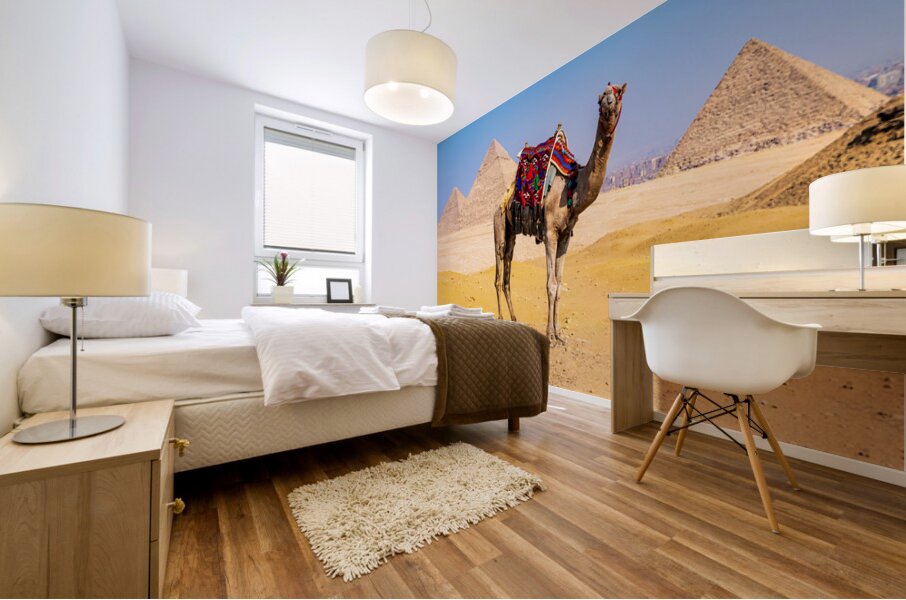 Single camel standing in front of Great Pyramid of Giza waiting  Mural print