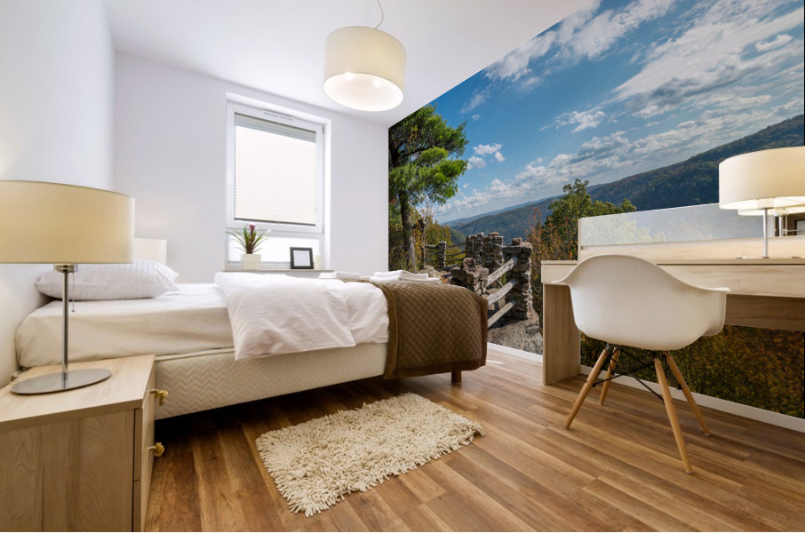 Coopers Rock state park overlook vertical format Mural print