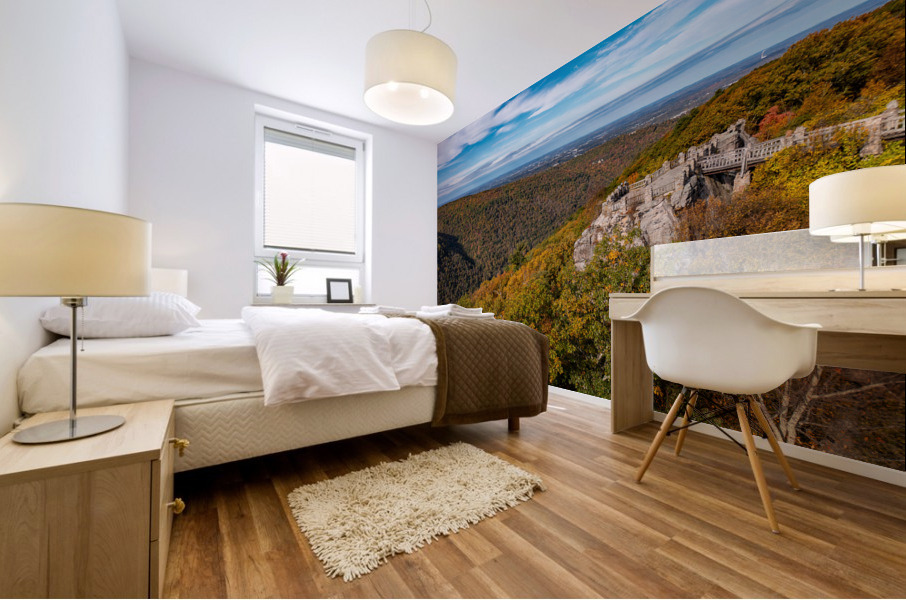 Coopers Rock state park overlook near Morgantown Mural print