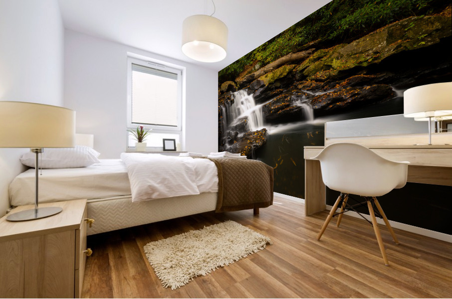 Waterfall on Deckers Creek near Masontown WV Mural print