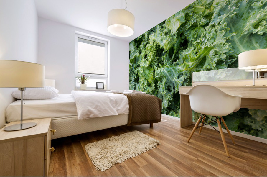Freshly washed and trimmed kale leaves Mural print