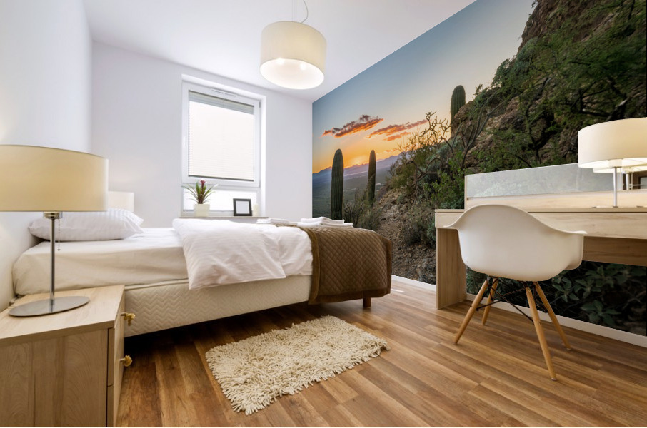 Sunset in Saguaro National Park West Mural print