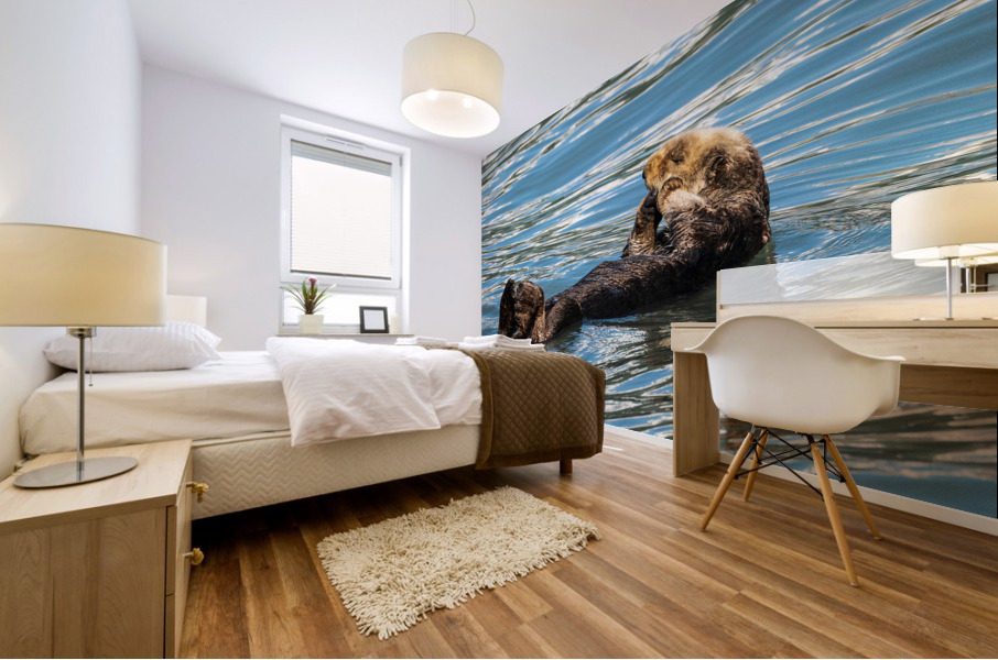 Sea Otter floating in Resurrection Bay near Seward Mural print