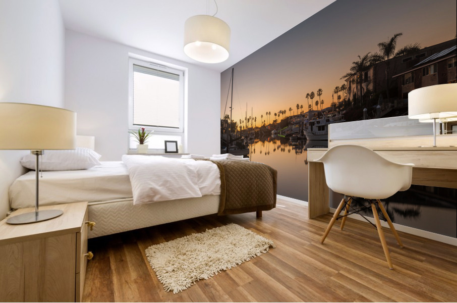 Expensive homes and boats ventura Mural print