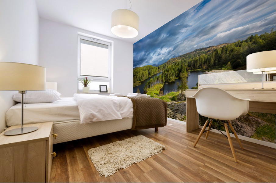 Tarn Hows in English Lake District Mural print