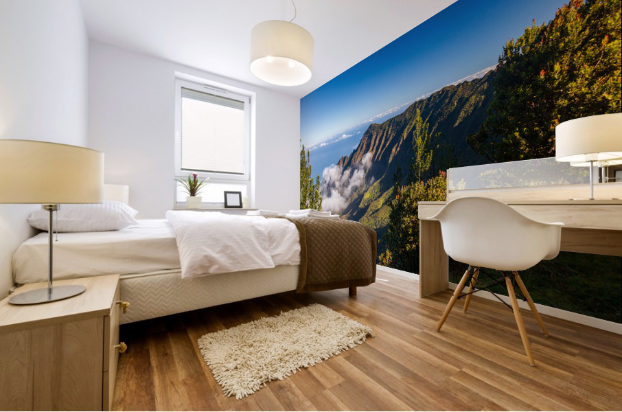 Pilea Trail overlooking Kalalau Valley in Kauai Mural print