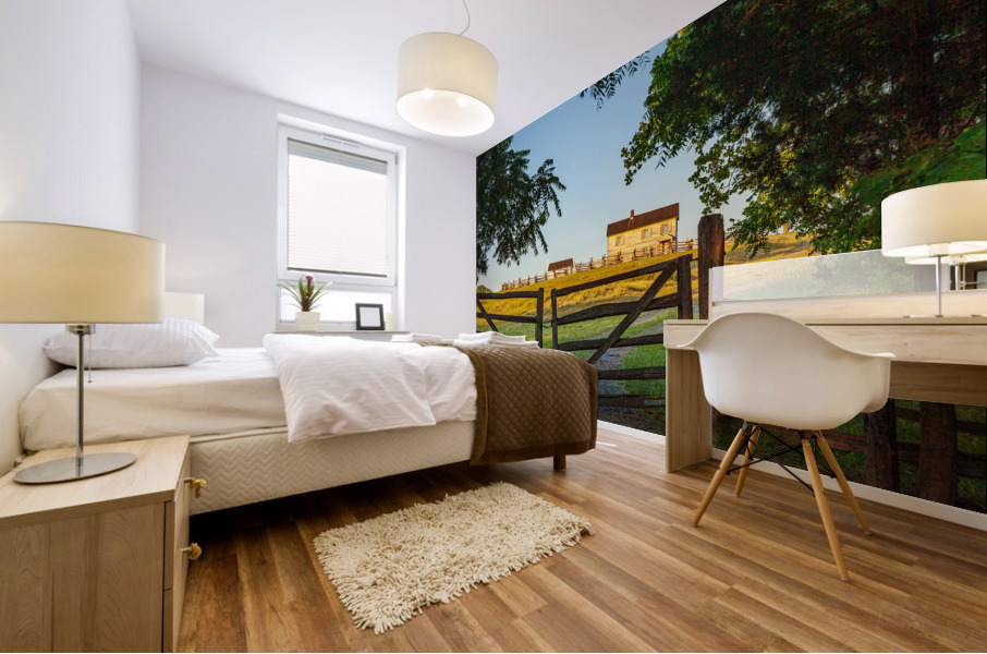 Henry House at Manassas Battlefield Mural print