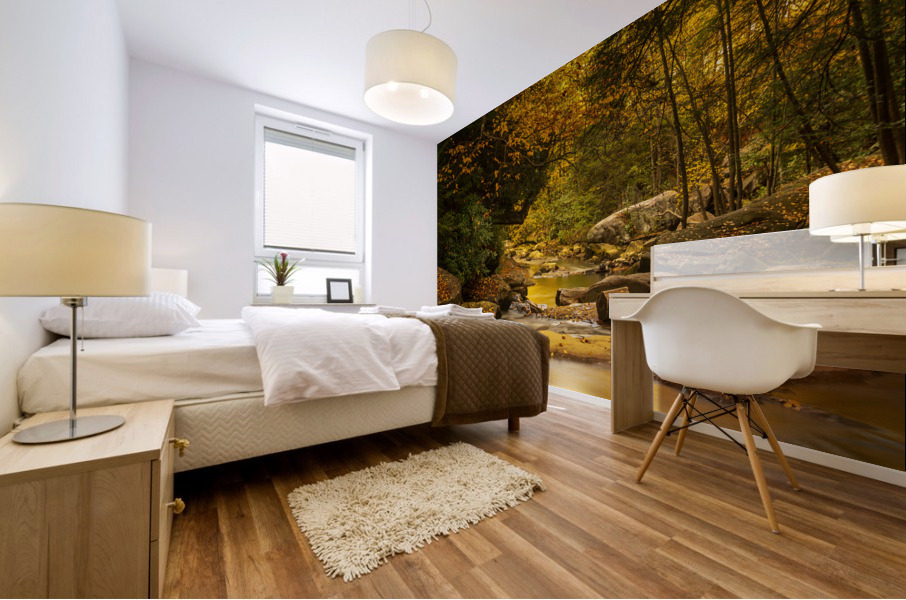 View down Deckers Creek near Masontown Mural print