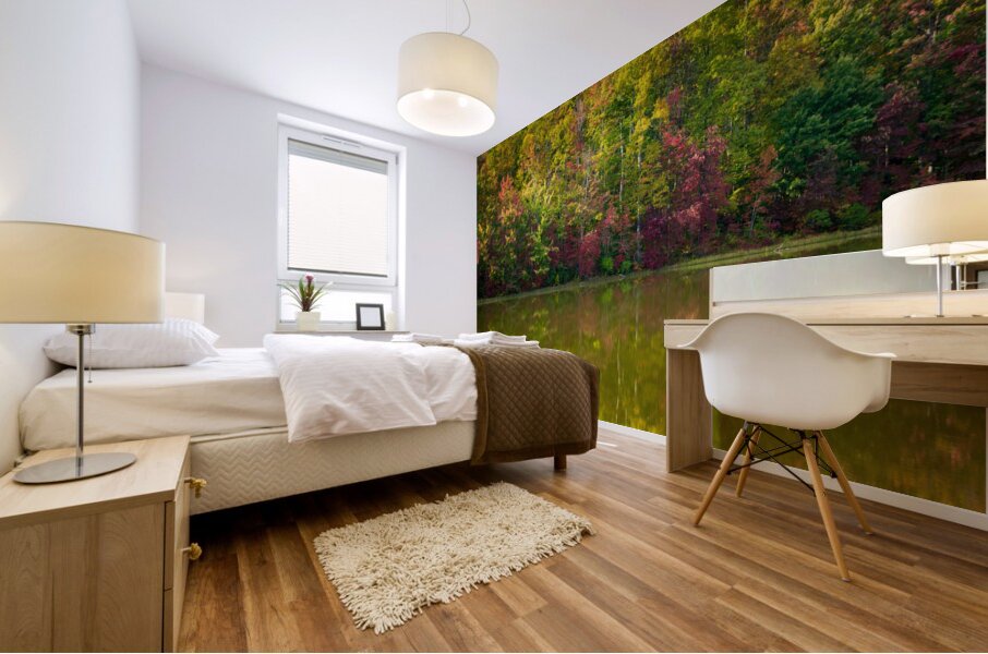 Fall leaves surround reservoir in Coopers Rock State Forest in W Mural print