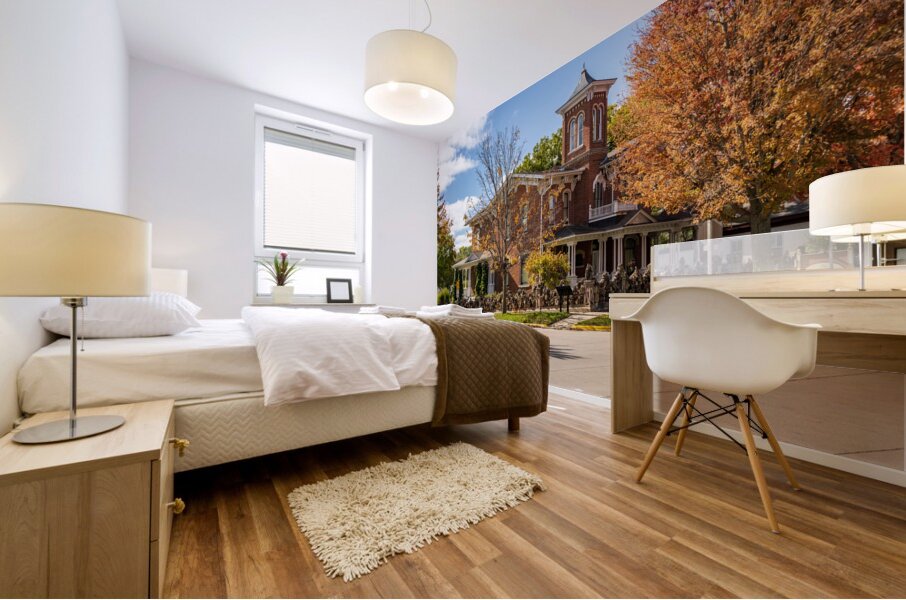 Facade of Porter House Museum on W Broadway in Decorah Iowa Mural print