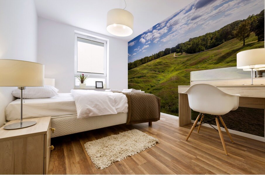 Battlefield in National Park for the Vicksburg siege in Mississi Mural print