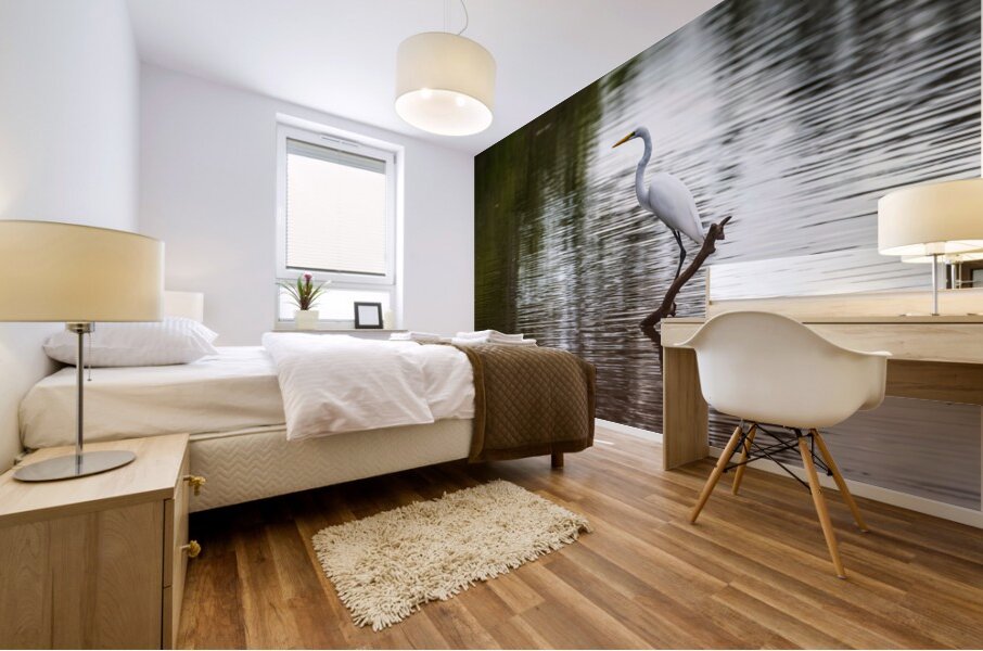 Great Egret on the stumps of bald cypress trees in Atchafalaya b Mural print