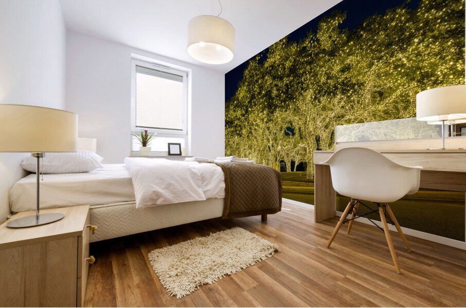 Holiday lights spectacular in Johnson City Texas Mural print