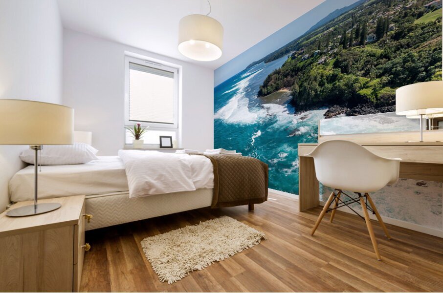 Aerial view of Princeville and Sealodge beach Mural print