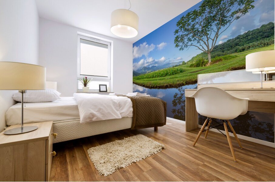 Panoramic view of Hanalei Valley in Kauai Mural print