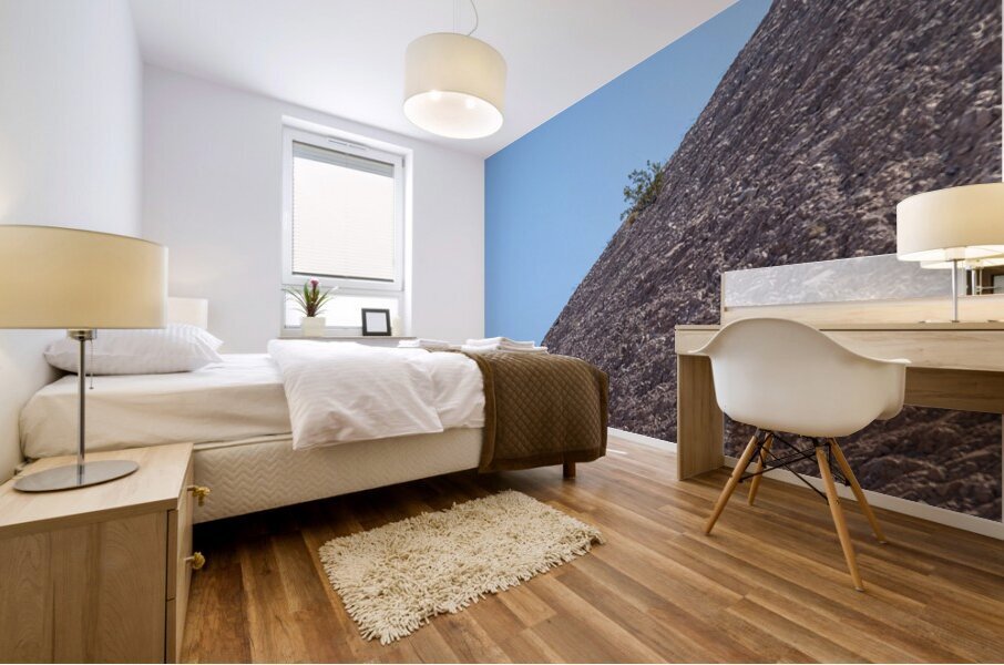 Small bush clinging to life on arid desert hillside in minimalis Mural print