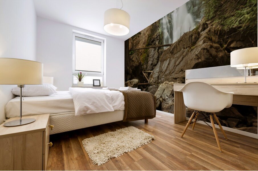 Falls Creek Falls near Winthrop in Cascade Mountains in Washingt Mural print